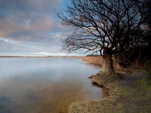 Martham Broad