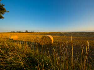 Thurne