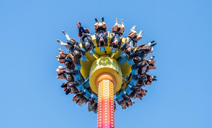 se permiten perros en great yarmouth pleasure beach