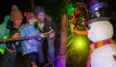 Bewilderwood Christmas Event