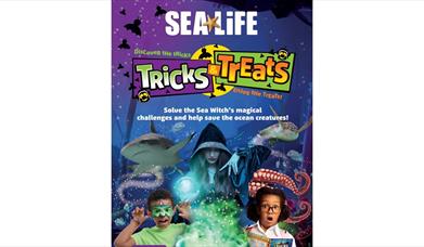 Ascarium Sea Life