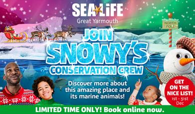 SEA LIFE Christmas Great Yarmouth