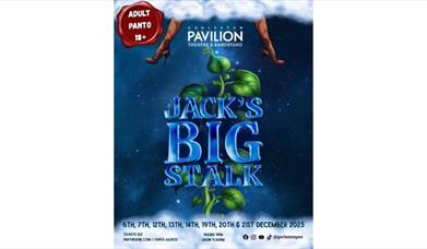 Adult Panto