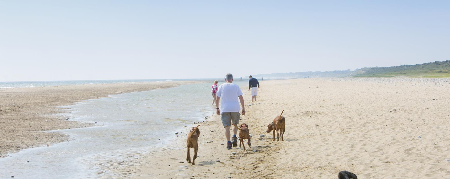 Visit WintertononSea, a chocolate box seaside village near Great Yarmouth