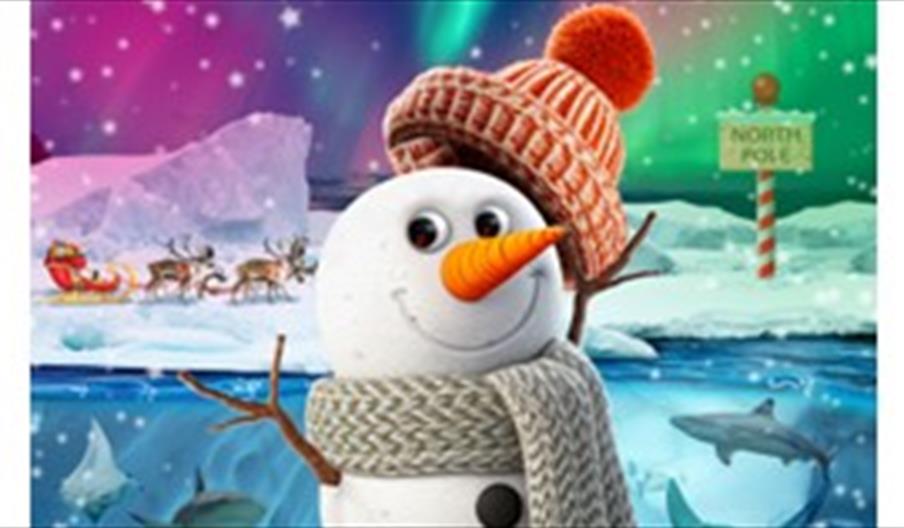 Snowy's Conservation Crew