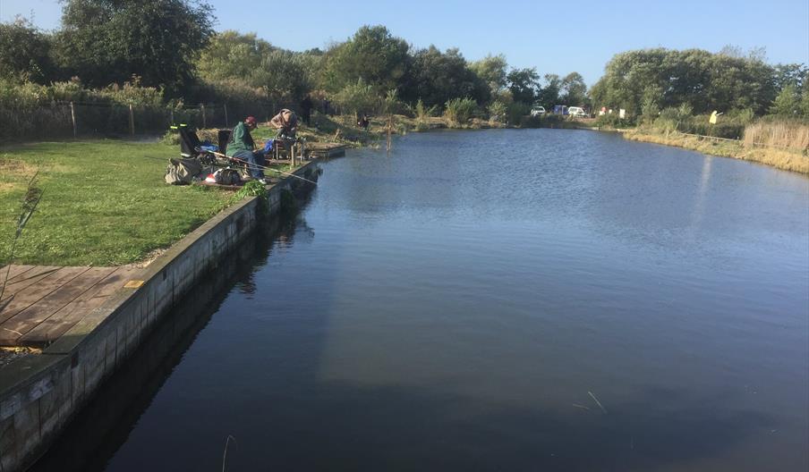 Martham Pits