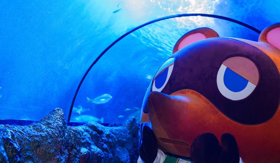 Tom Nook at SEA LIFE