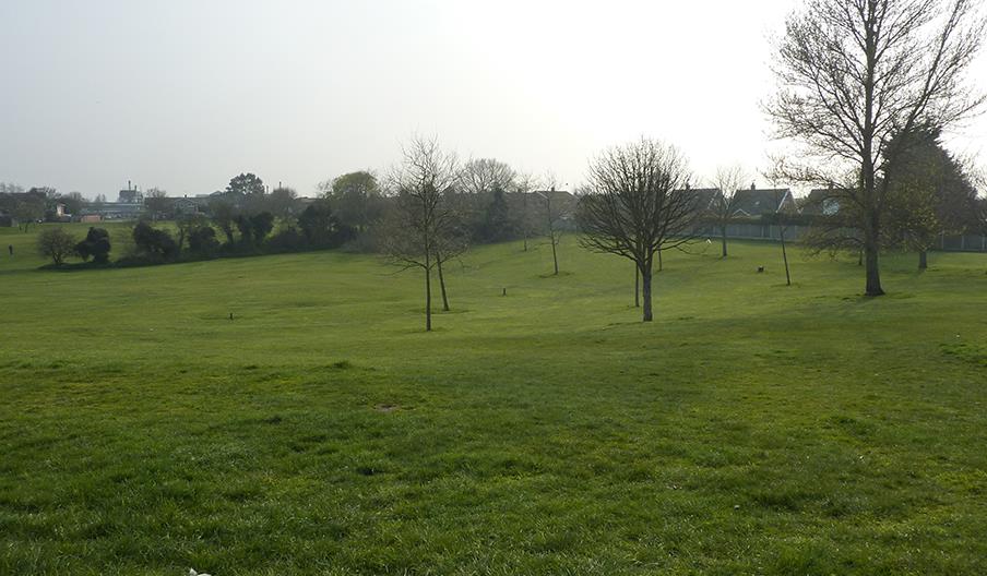 Crow Hall Green