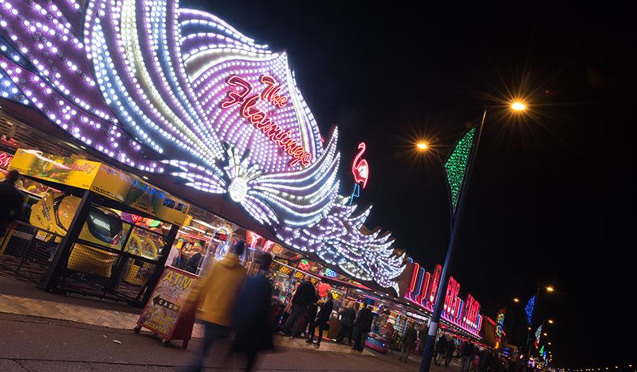 The Flamingo Arcade