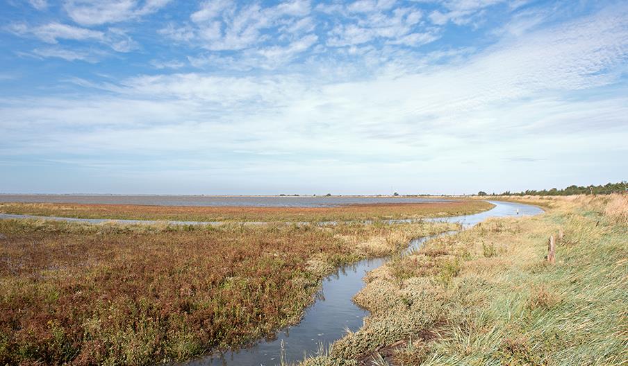 Halvergate Marshes and Weavers Way