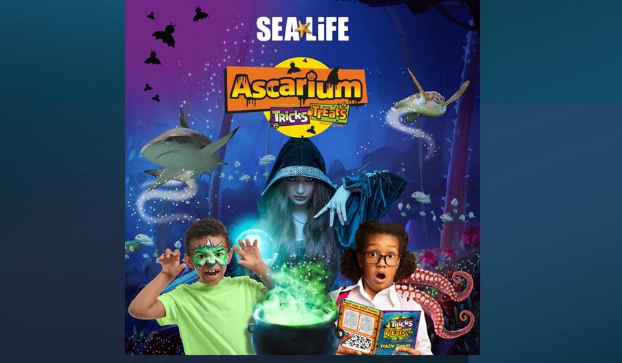 Ascarium