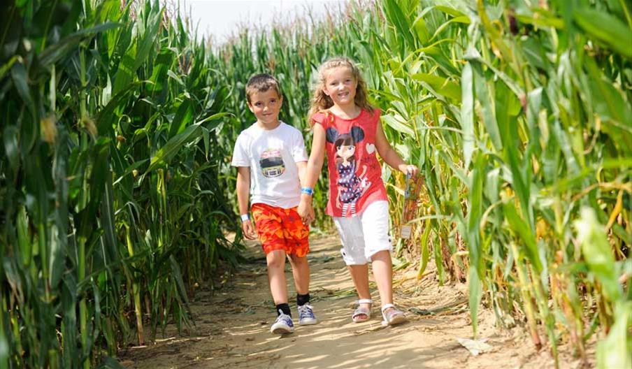 Hirsty's Family Fun Park - Summer Mega Maize