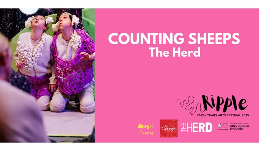 Counting Sheeps