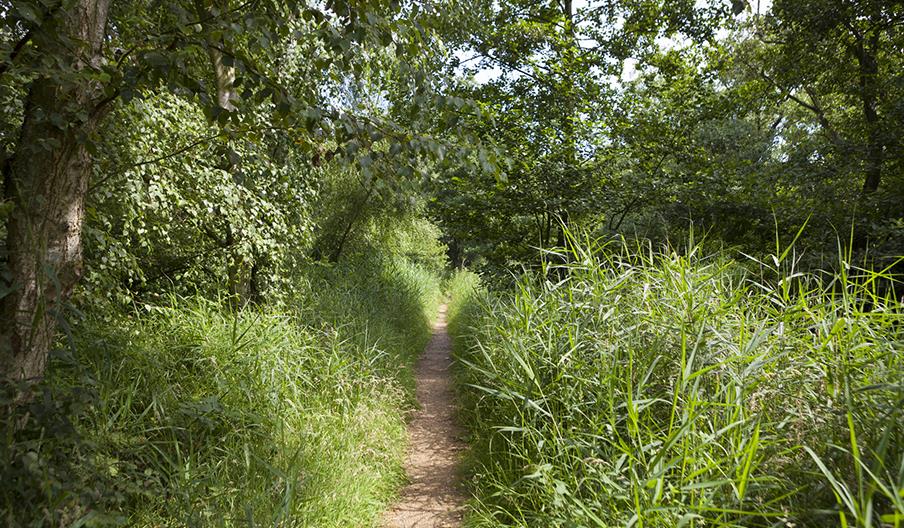 Ormesby St Margaret to Hemsby