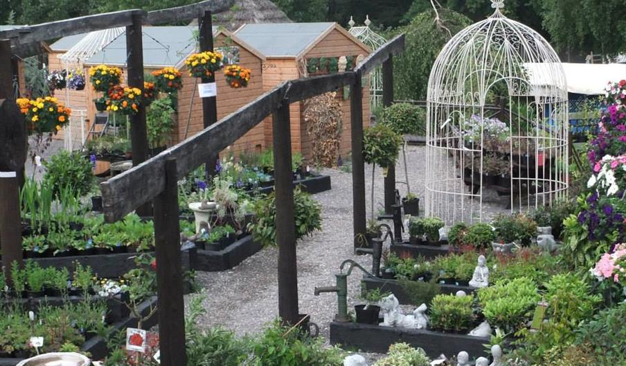 Fritton Plant Centre