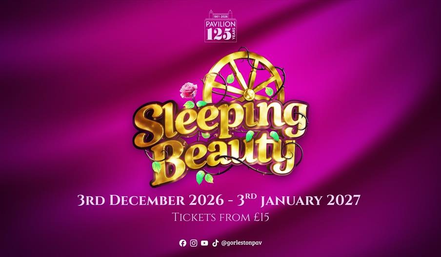 Sleeping Beauty Poster
