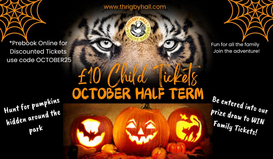October Half Term at Thrigby