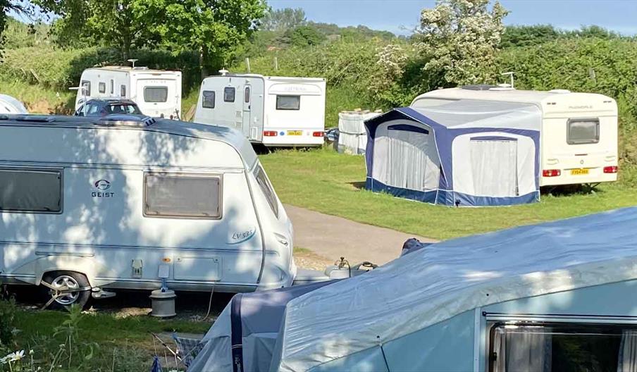 rose farm touring park