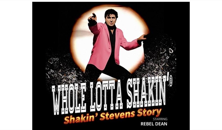 shakin Stevens