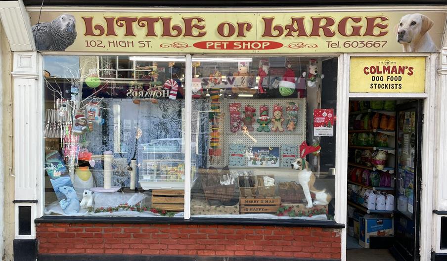 Little or large pet shop