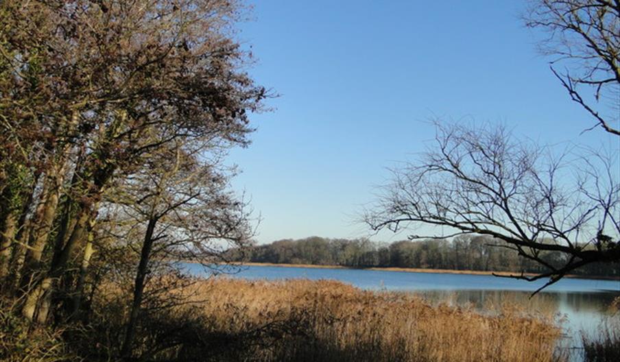 Ormesby Little Broad from Filby Bridge