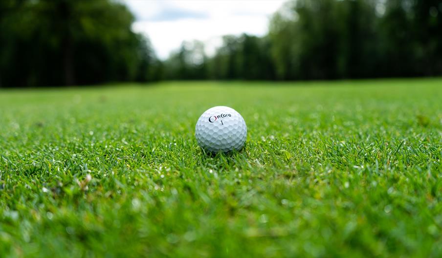 Golf ball on green