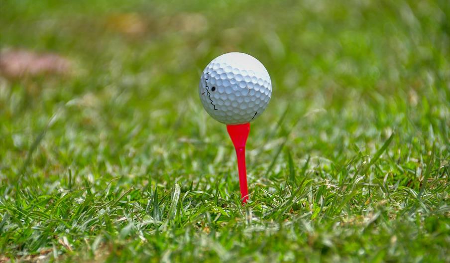 White golf ball on red tee