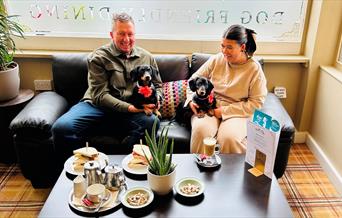 dog friendly Paws on the Prom