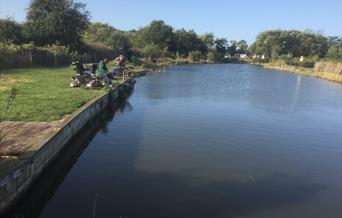 Martham Pits