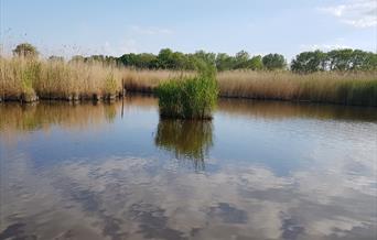 Martham Pits