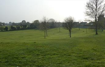 Crow Hall Green