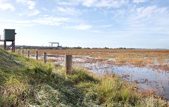 RSPB Berney Arms & Breydon Water