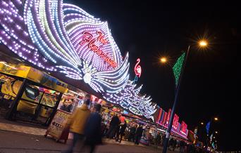 The Flamingo Arcade