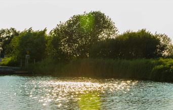 NWT Martham Broad
