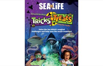 Ascarium Sea Life