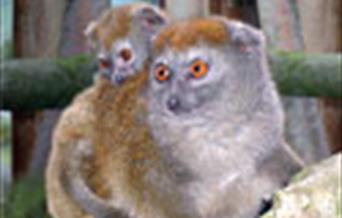 Banham Zoo