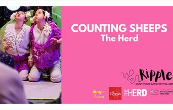 Counting Sheeps