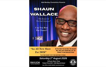 Dark Destroyer The Chase