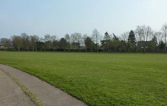 Falkland Way Park