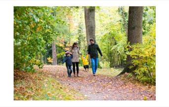 Fairhaven Woodland & Water Gardens