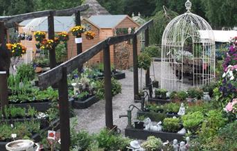 Fritton Plant Centre