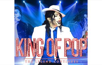 Michael Jackson Tribute