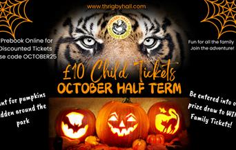 October Half Term at Thrigby