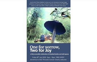 One for Sorrow Two for Joy film