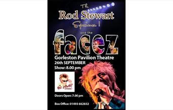 The Rod Stewart Experience