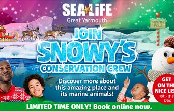 SEA LIFE Christmas Great Yarmouth