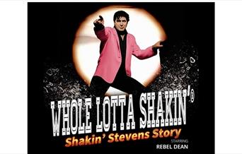 shakin Stevens