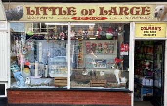 Little or large pet shop