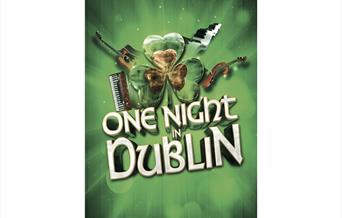 Poster for One Night in Dublin