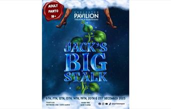 Adult Panto